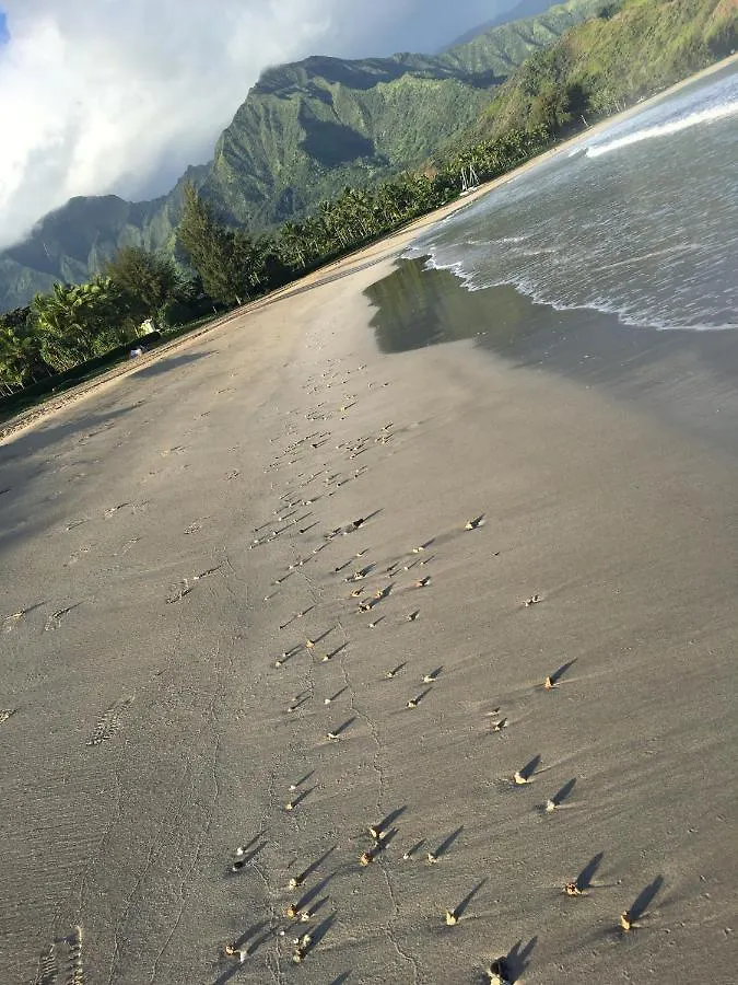 Puu Poa Ocean Bluff Condo, Incredible Views, Walk To Beaches, Pool & Tennis Princeville