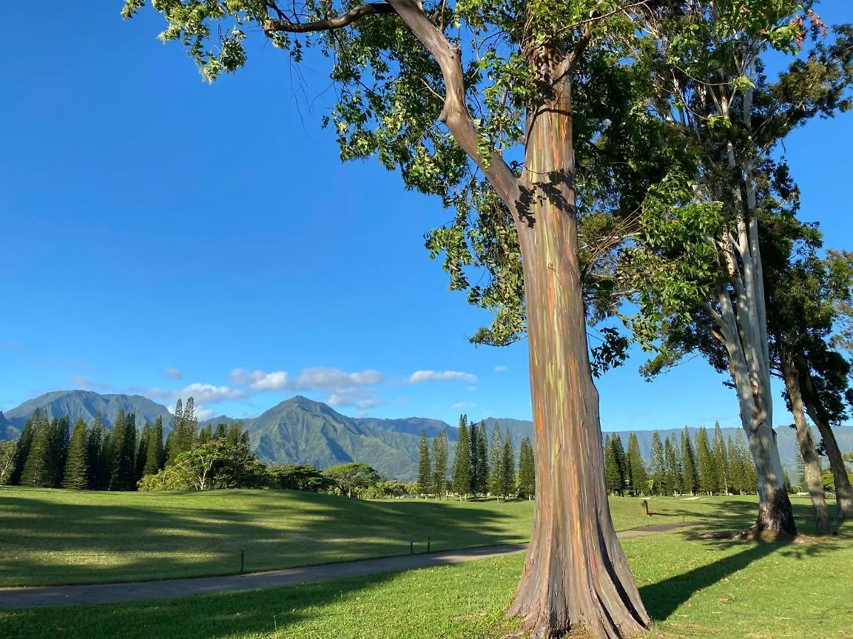 Puu Poa Ocean Bluff Condo, Incredible Views, Walk To Beaches, Pool & Tennis Princeville 0*,  Estados Unidos