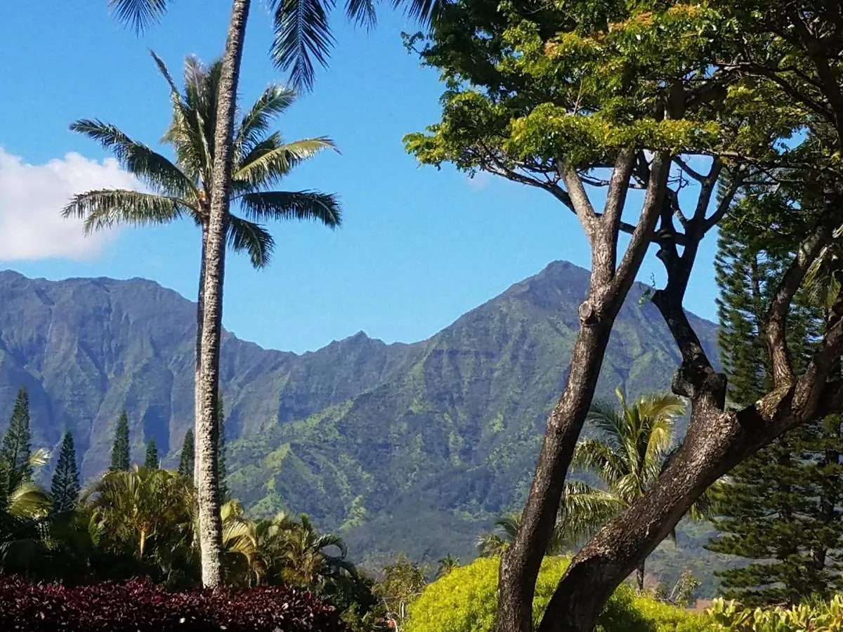 Puu Poa Ocean Bluff Condo, Incredible Views, Walk To Beaches, Pool & Tennis Princeville Estados Unidos